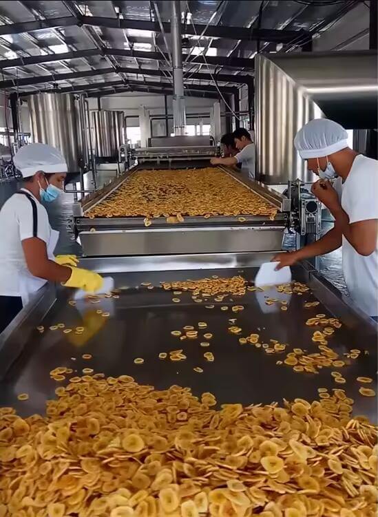 Automatic Banana Chips Plant Automatic Banana Chips Plant